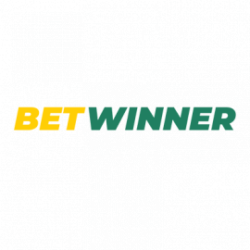 Betwinner Casino