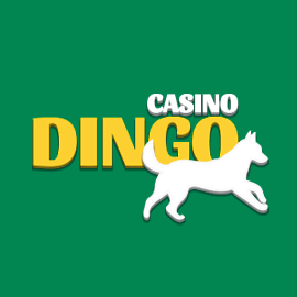 dingo kazinosu