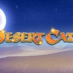 Desert Cats