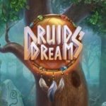 Druidin yuxusu