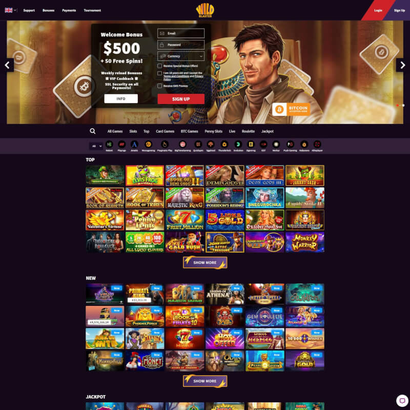 Wildblaster Casino screenshot 1