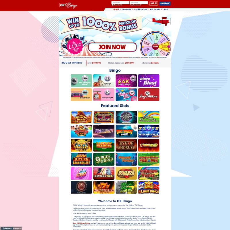 OK Bingo screenshot 1