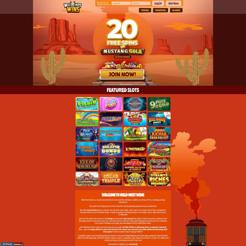Wild western Wins screenshot 1