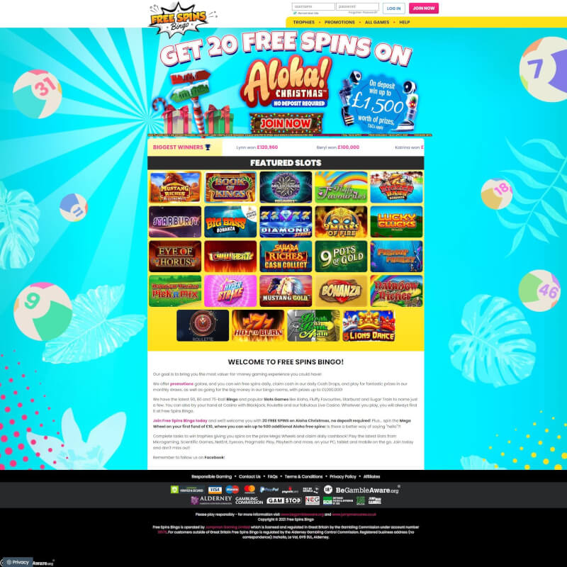 complimentary Spins Bingo screenshot 1