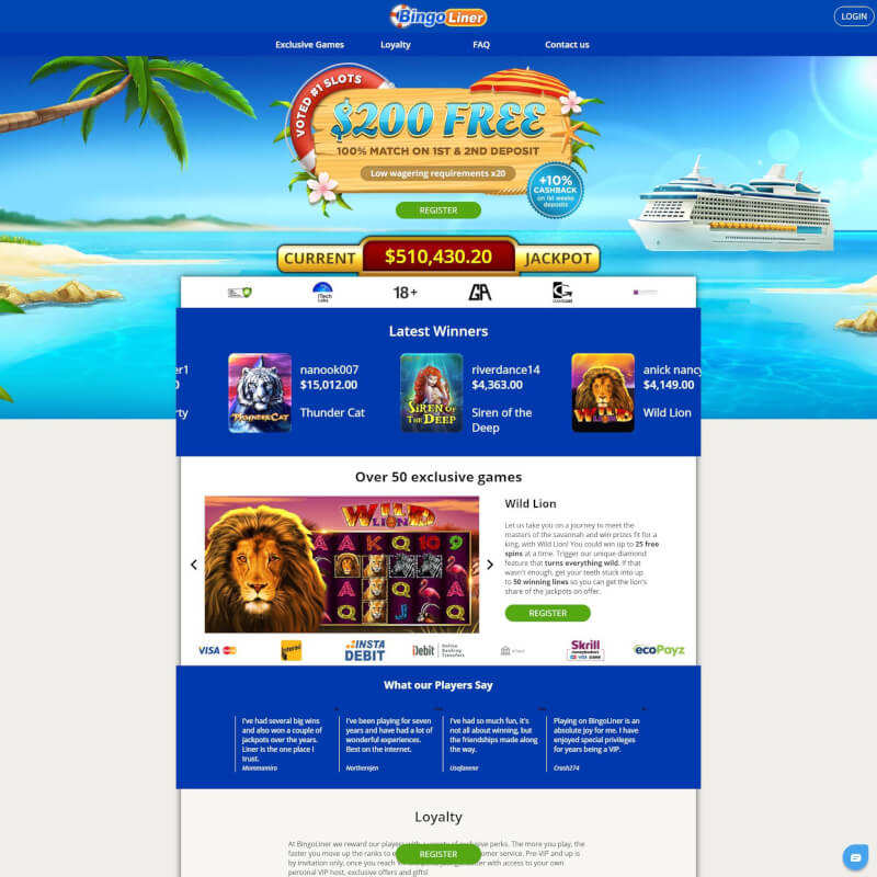 Bingoliner screenshot 1
