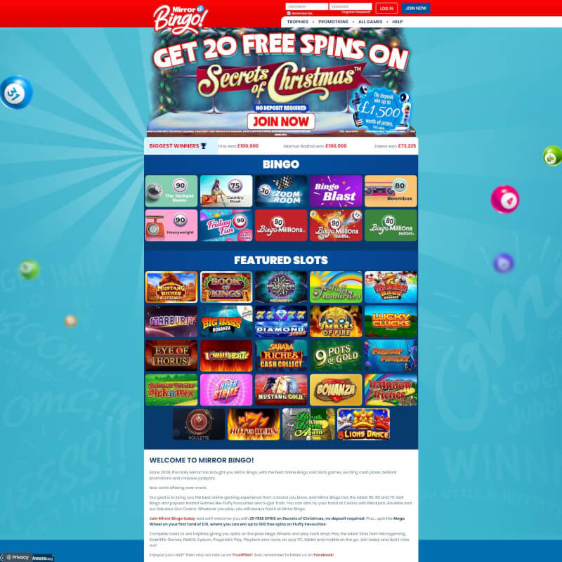Mirror Bingo screenshot 1