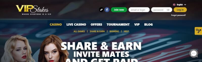 vip stakes support options review-logo