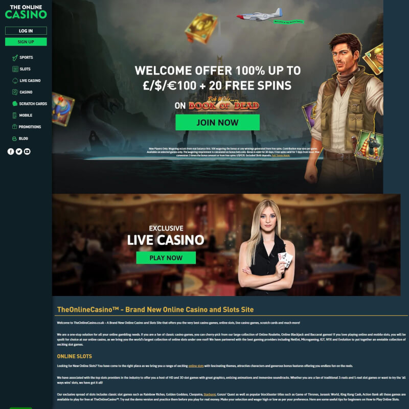 the internet Casino screenshot 1