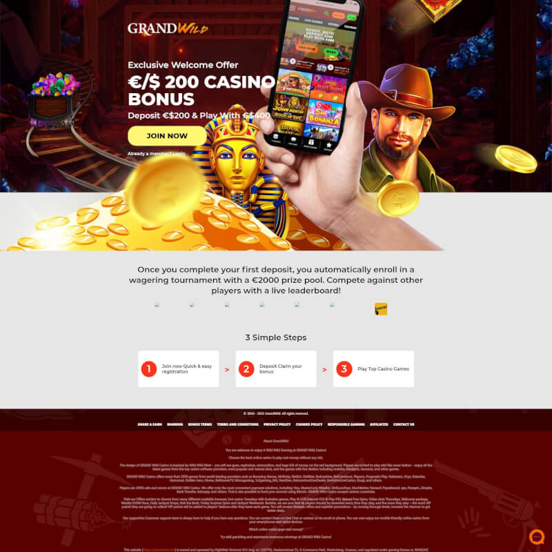 Grand Wild Casino screenshot 1