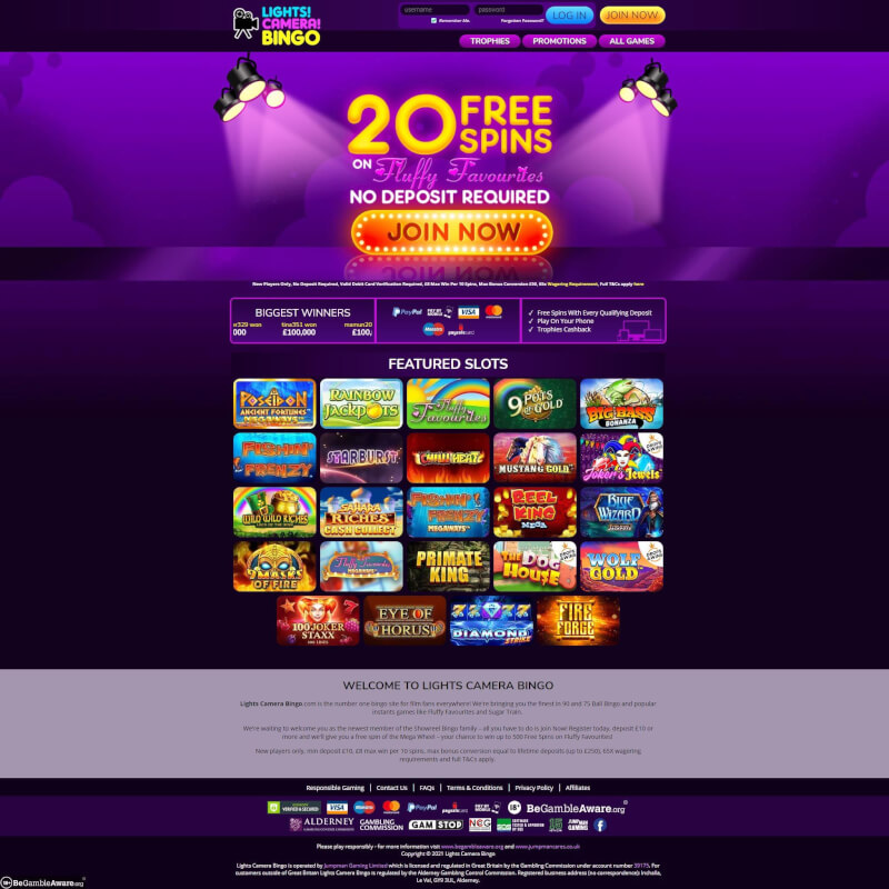 Lights Camera Bingo Casino screenshot 1