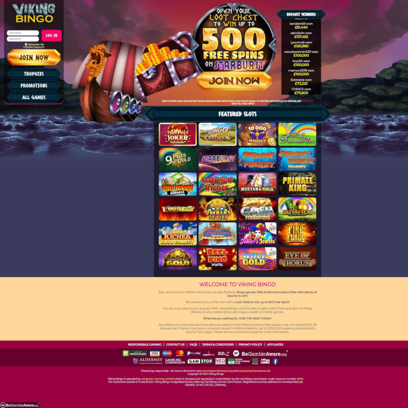 Viking Bingo screenshot 1